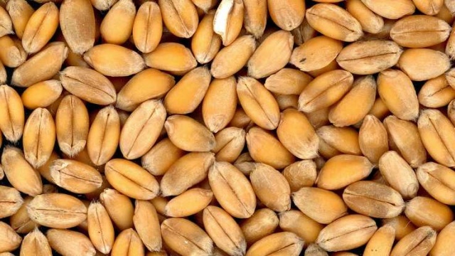 Beyni tüketen 10 şey