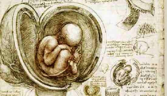 Leonardo Da Vinci Hakkında Bilinmeyenler