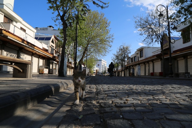 Fotoğraflarla Diyarbakır'da sokağa çıkma yasağı