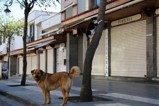 Fotoğraflarla Diyarbakır'da sokağa çıkma yasağı