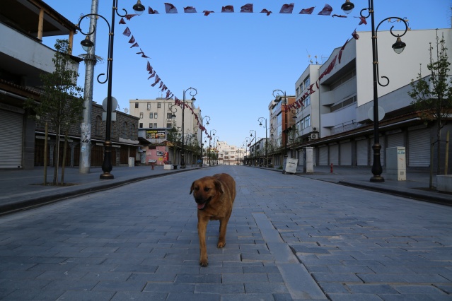 Fotoğraflarla Diyarbakır'da sokağa çıkma yasağı