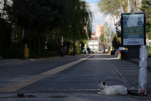 Fotoğraflarla Diyarbakır'da sokağa çıkma yasağı