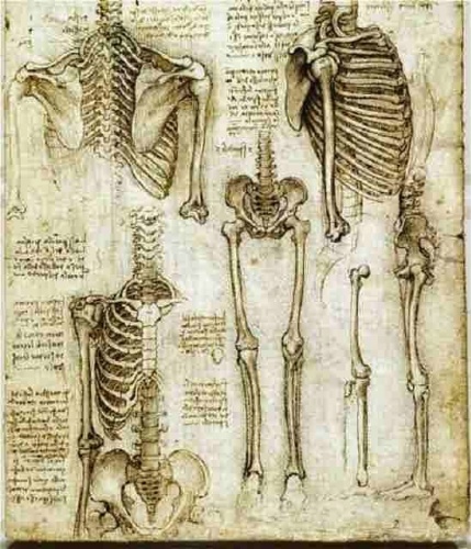 Leonardo Da Vinci Hakkında Bilinmeyenler