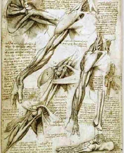 Leonardo Da Vinci Hakkında Bilinmeyenler