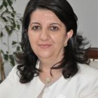 Pervin Buldan Kimdir?