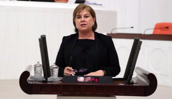 CHP'li Elif Doğan'dan istifa açıklaması
