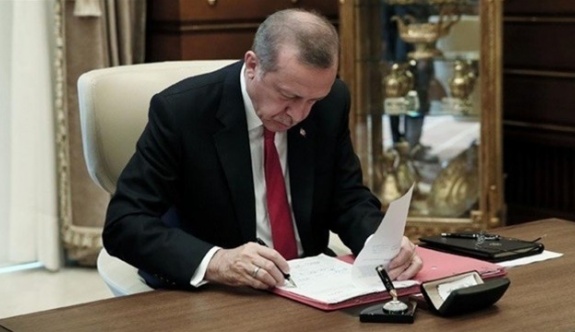 'Erdoğan bazı maddeleri veto edebilir'