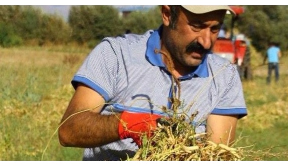 Komünist başkan, 2016’da da belediyeyi kâra geçirdi