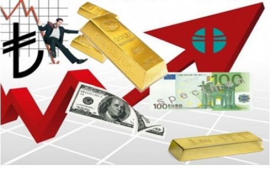 Merkez Bankası'nda döviz alarmı