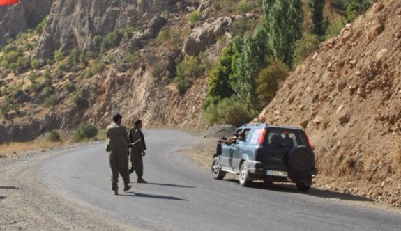 Bitlis'te 12 kişinin yaşamını yitirdiği iddia edildi