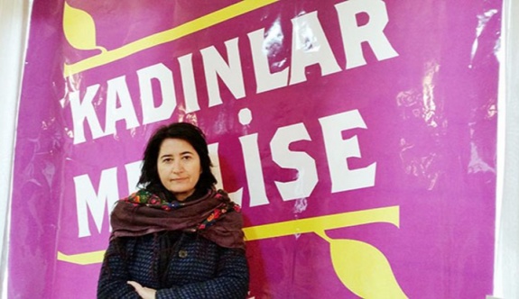 HDP'de yeni eşbaşkan belli oldu