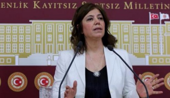 HDP'li Beştaş'tan Danıştay ve Anayasa Mahkemesi'ne sert tepki