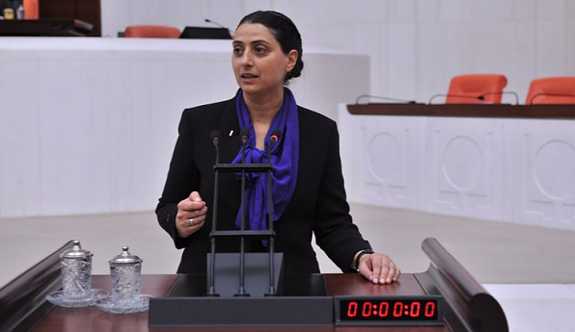 Feleknas Uca'nın Alman pasaportuna 'şerh' kondu