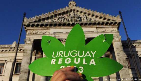 Uruguay'da eczaneler marihuana satacak