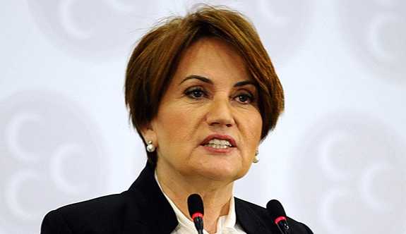 Akşener'in liderliğinde kurulacak partide 'bozkurt ve 'Başbuğ' yasağı