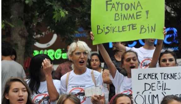 'Faytonculuk yasaklansın' eylemi: Faytona binme, bisiklete bin!
