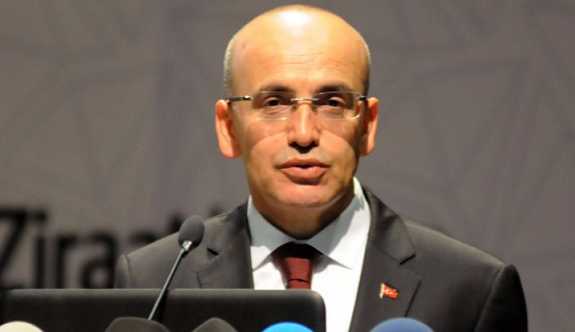Başbakan Yardımcısı Şimşek: Her şey güllük gülistanlık