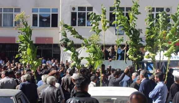 Yüzlerce tütün emekçisine polis saldırısı