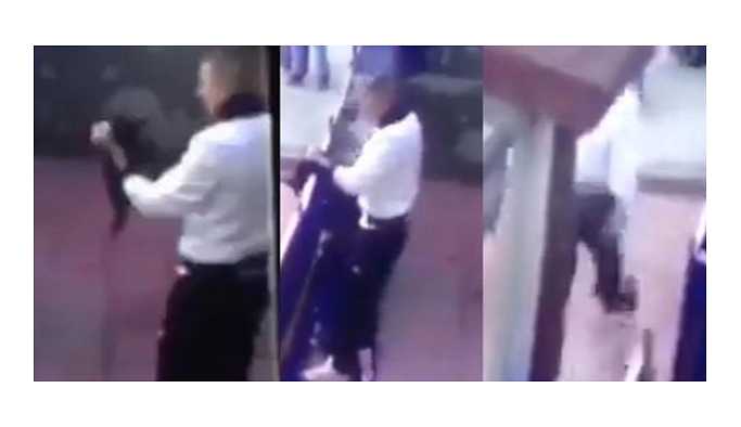 Yavru kediye işkence yapan askeri personel serbest bırakıldı!