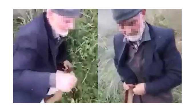 Köpeğe tecavüz eden 82 yaşındaki N.C.'yi gözaltına alındı