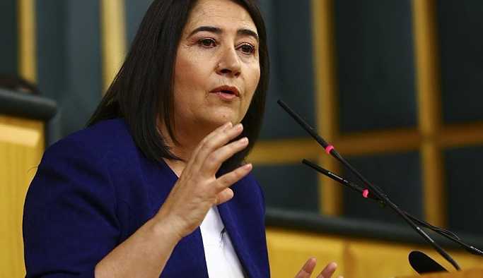 HDP PM Üyesi Serpil Kemalbay gözaltına alındı