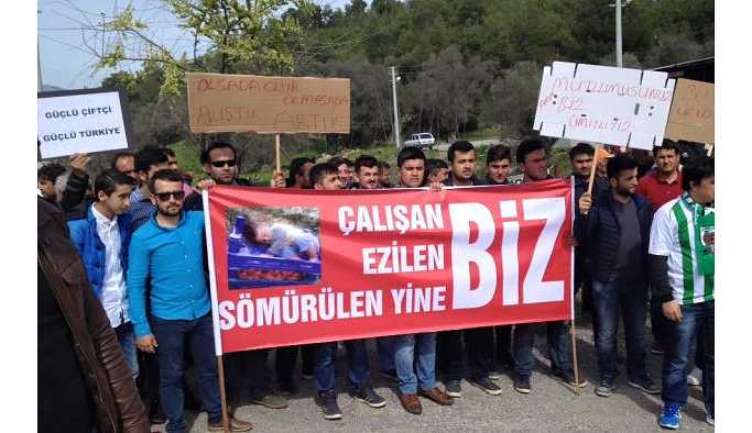 Fakıbaba'ya tepki: Çiftçiyi bitirdiler, şimdi de alay ediyorlar