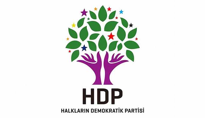 HDP Diyarbakır İl Başkanı Camcı: Vekillerimizle gurur duyuyoruz