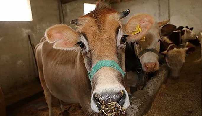 Herkesi ilgilendiren halk sağlığı soruları