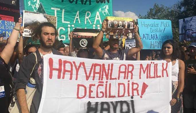 Büyükada'da fayton protestosu: Hayyvanlar özgür olmak istiyor