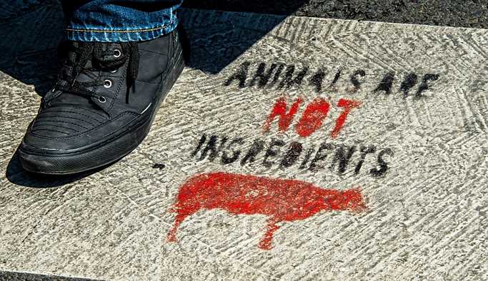 Fransa'da 6 vegan aktiviste vandalizm şüphesiyle gözaltı