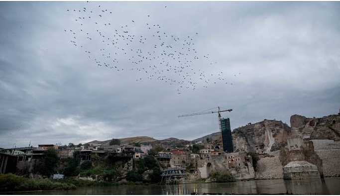 Baraj Hasankeyf'te canlı türlerini etkileyecek