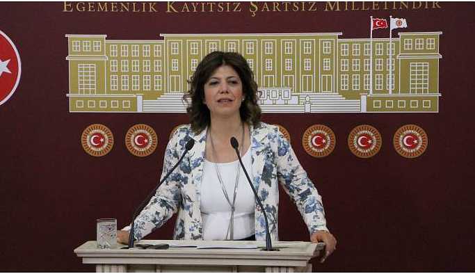 Beştaş: İçişleri Bakanı'nın saldırganlığı tedavi edilmeli