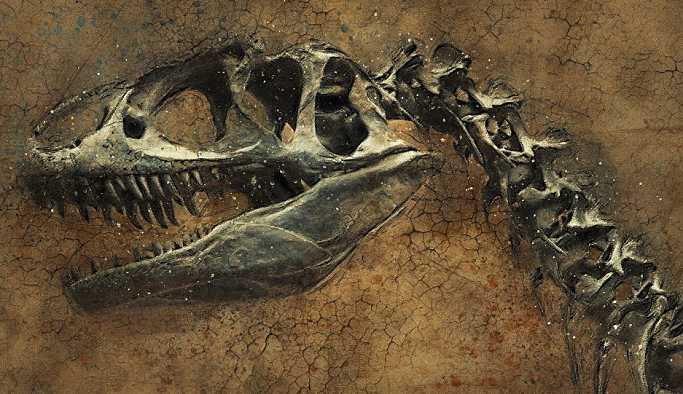 Kuş yumurtalarının renklerinde dinozor etkisi