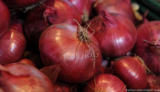 Soğandan seçimlere ekonomi nereye gidiyor?