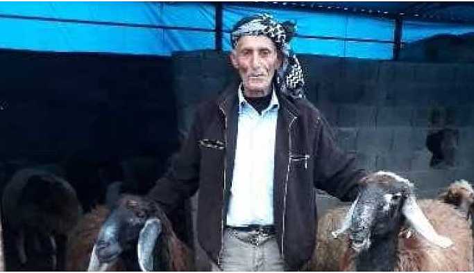 Adana’da bir çoban iki gündür kayıp