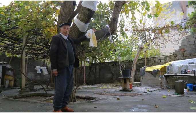 'Bu ağacın unutamadığını biz nasıl unutalım'