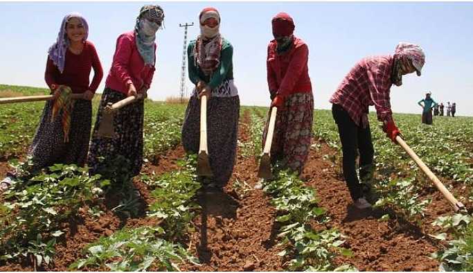 HDP’den kadın iş cinayetlerinin araştırılmasını istedi