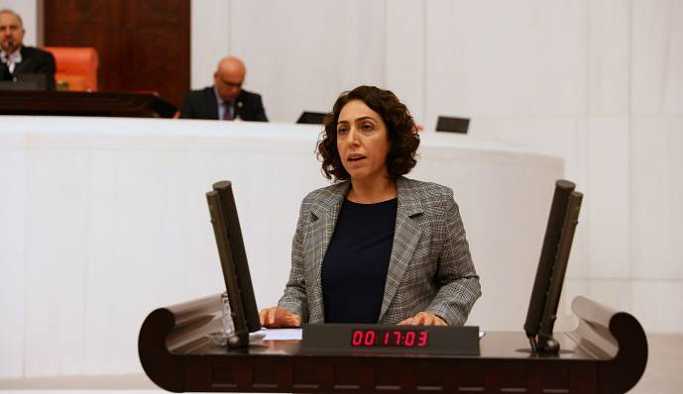 HDP’li Aydeniz, uyuşturucu kullanımı için Meclis araştırması istedi