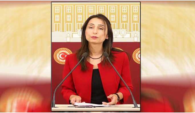 HDP’li Kıran'ın darp edilmesi Meclis'e taşındı