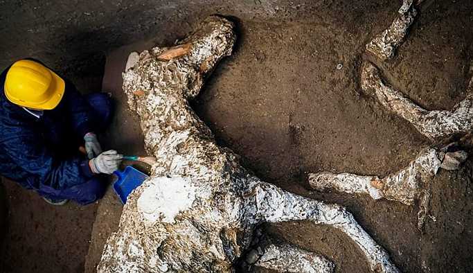 Pompeii'de taşlaşmış at kalıntıları bulundu