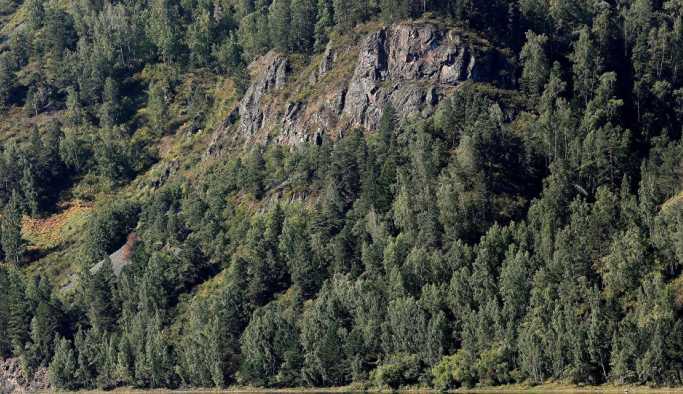 Rusya'da helikopter düştü: 4 ölü