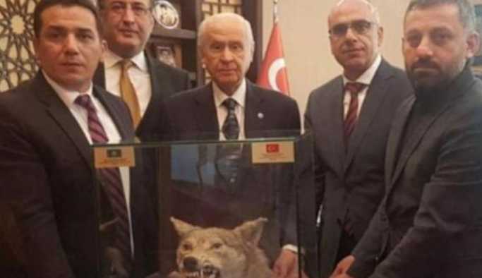 Bahçeli'ye doğum gününde kurt kafası hediyesi