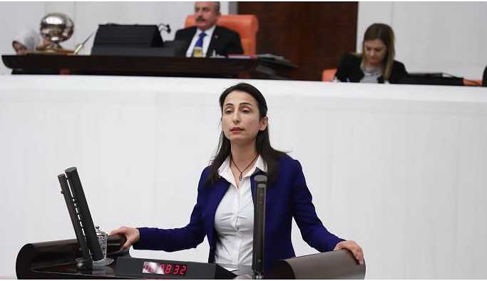 HDP’li Hatimoğulları’ndan Bakan Kurum’a havaalanı sorusu