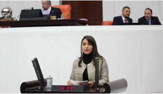 Meclise taşınan ‘erkek’ şiddetine yazılı uyarı