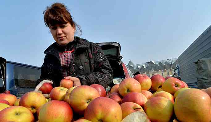 Türkiye'den giden 19 ton elmanın Rusya'ya girişine izin verilmedi