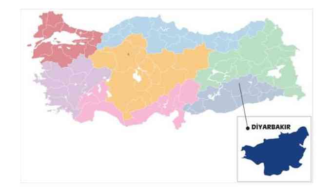 31 Mart Diyarbakır yerel seçim sonuçları
