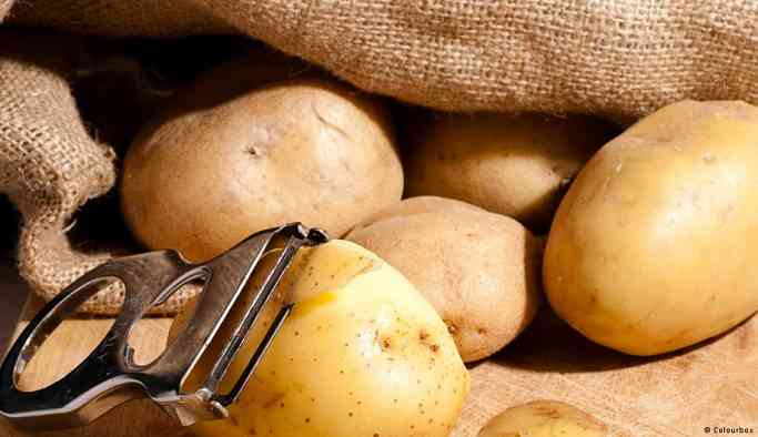 Patates üreticileri hükümete tepkili