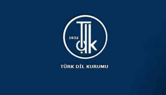 Bakanlık, TDK'nin kadınları aşağılayan ifadelerini savundu