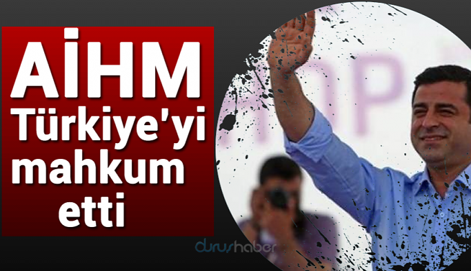 AİHM Demirtaş başvurusunda Türkiye'yi mahkum etti