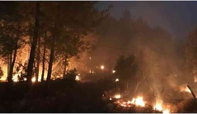 Muğla'da orman yangını: 2 köy boşaltıldı